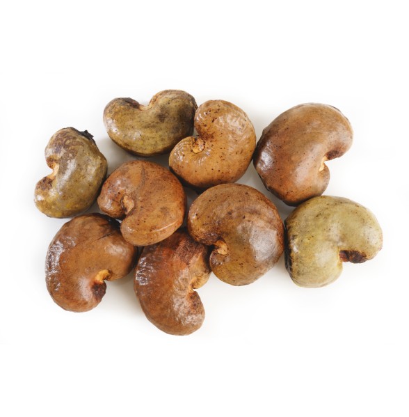 RAW CASHEW NUTS (Outturn 50)