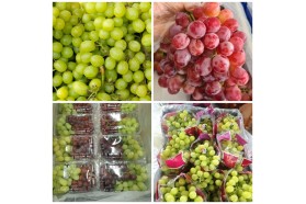 Fresh Grapes