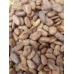 Forastero Cocoa Beans