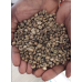 Robusta Coffee Beans - Grade 1