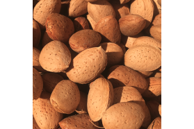 Non-Pareil In-shell Almonds