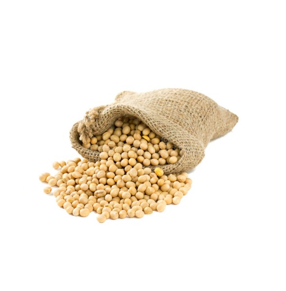 gmo soybeans