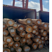 Eucalyptus (Grandis)